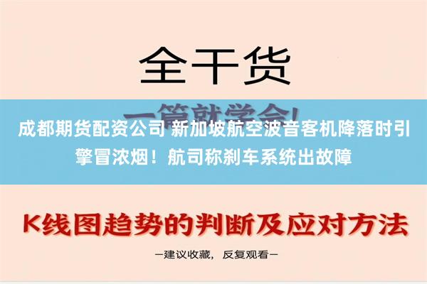 成都期货配资公司 新加坡航空波音客机降落时引擎冒浓烟！航司称刹车系统出故障