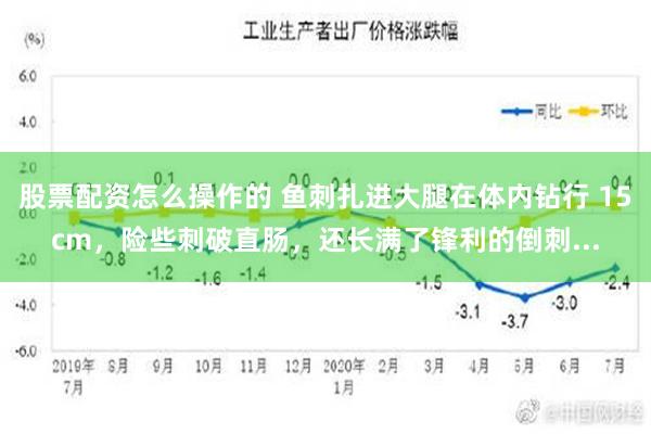 股票配资怎么操作的 鱼刺扎进大腿在体内钻行 15cm，险些刺破直肠，还长满了锋利的倒刺...