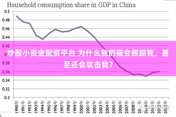 炒股小资金配资平台 为什么我的猫会跟踪我，甚至还会攻击我？