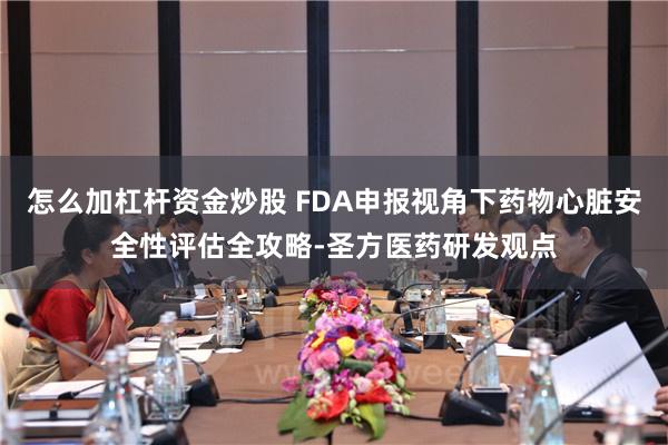 怎么加杠杆资金炒股 FDA申报视角下药物心脏安全性评估全攻略