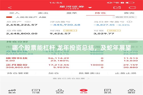 哪个股票能杠杆 龙年投资总结，及蛇年展望